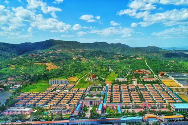 振兴 如何振兴 文旅专家 支招