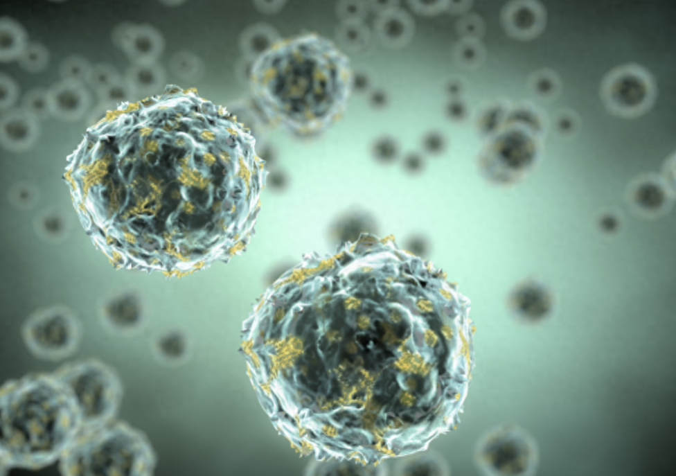 人体必需元素硒,可以杀死癌细胞 适当吃4种食物,不怕缺硒