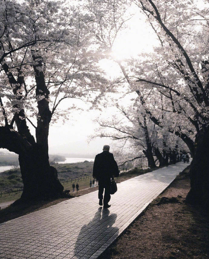 爱的世界里,从来没有公平可比