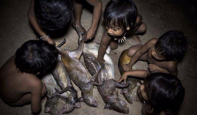 他们与世隔绝,靠狩猎为生,女人们会哺乳动物幼崽