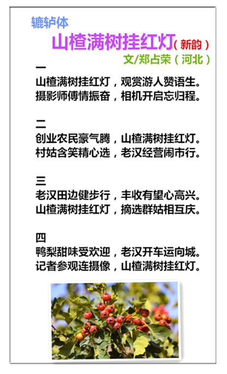 未命名_副本jhkg .jpg