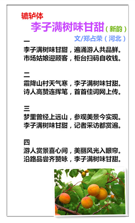 未命名_副本hghj bb.jpg