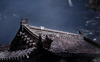 《独行》作者:​王小军【大众原创诗词曲网刊】签约作家
