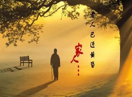 重阳节 孝老爱亲 你陪我长大,我陪你变老