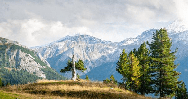 未来一个月,夜光柔和,不再暗恋,情丝难断,旧爱落定,余生不离 性格