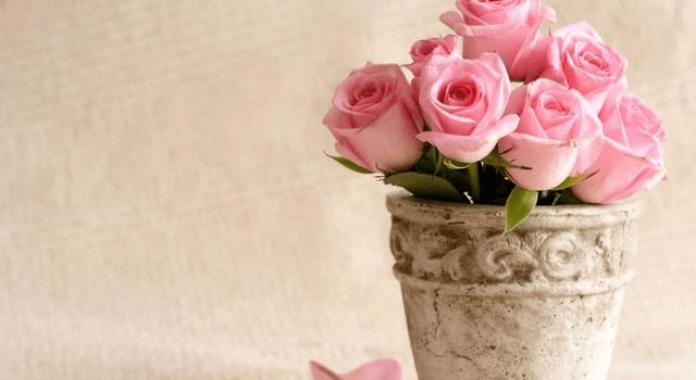 未来两个月运势大红大紫,财神爷保驾护航,未来一片光明的3星座