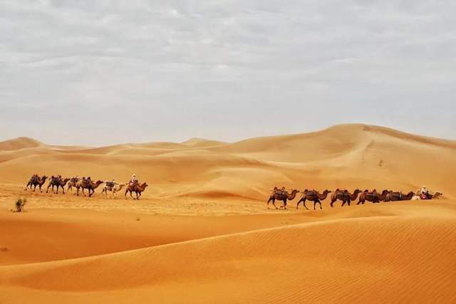 37度古国旧都,天下黄河独富,沙漠与江南的神奇组合