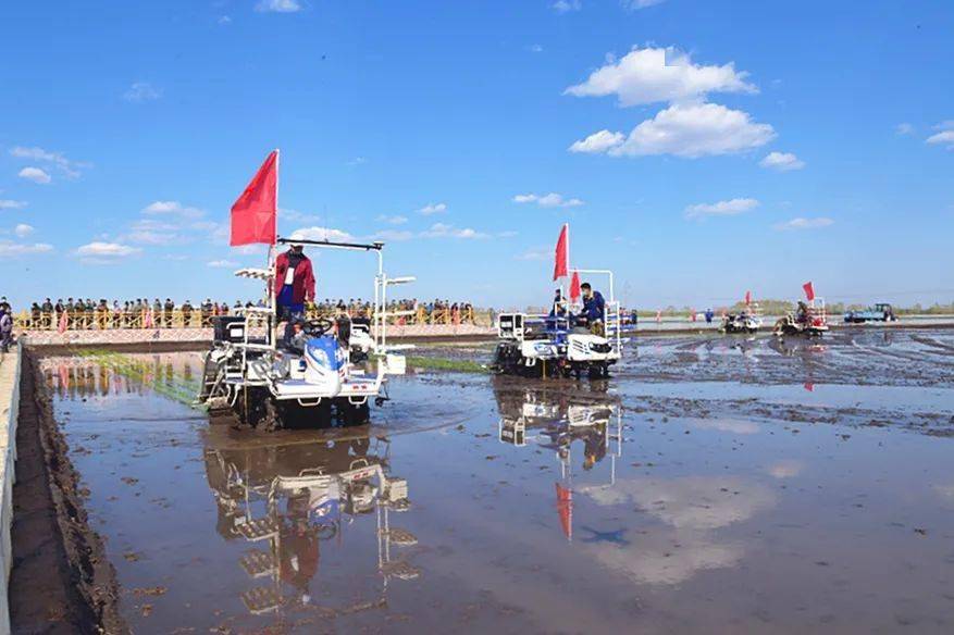 提高粮食综合产能 北大荒插上科技的翅膀