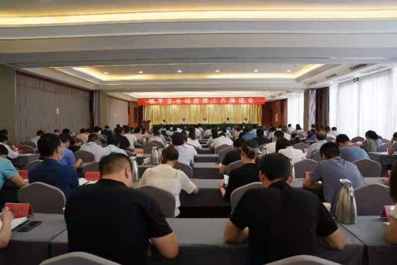 镇平 全域党建域奏响新时代 奋进曲