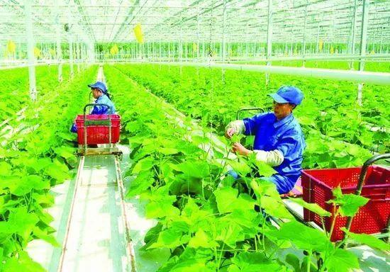 烟台半年报出炉 主要经济指标 四个稳