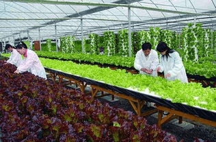 高三考生,若高考失利,更具潜力的4类高职专科专业供你们选择
