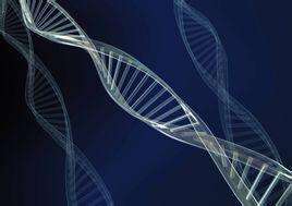 真核生物遗传物质为什么不是rna