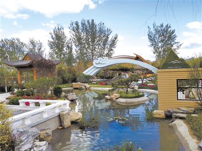 大美青海春意浓 绿满江源万象新