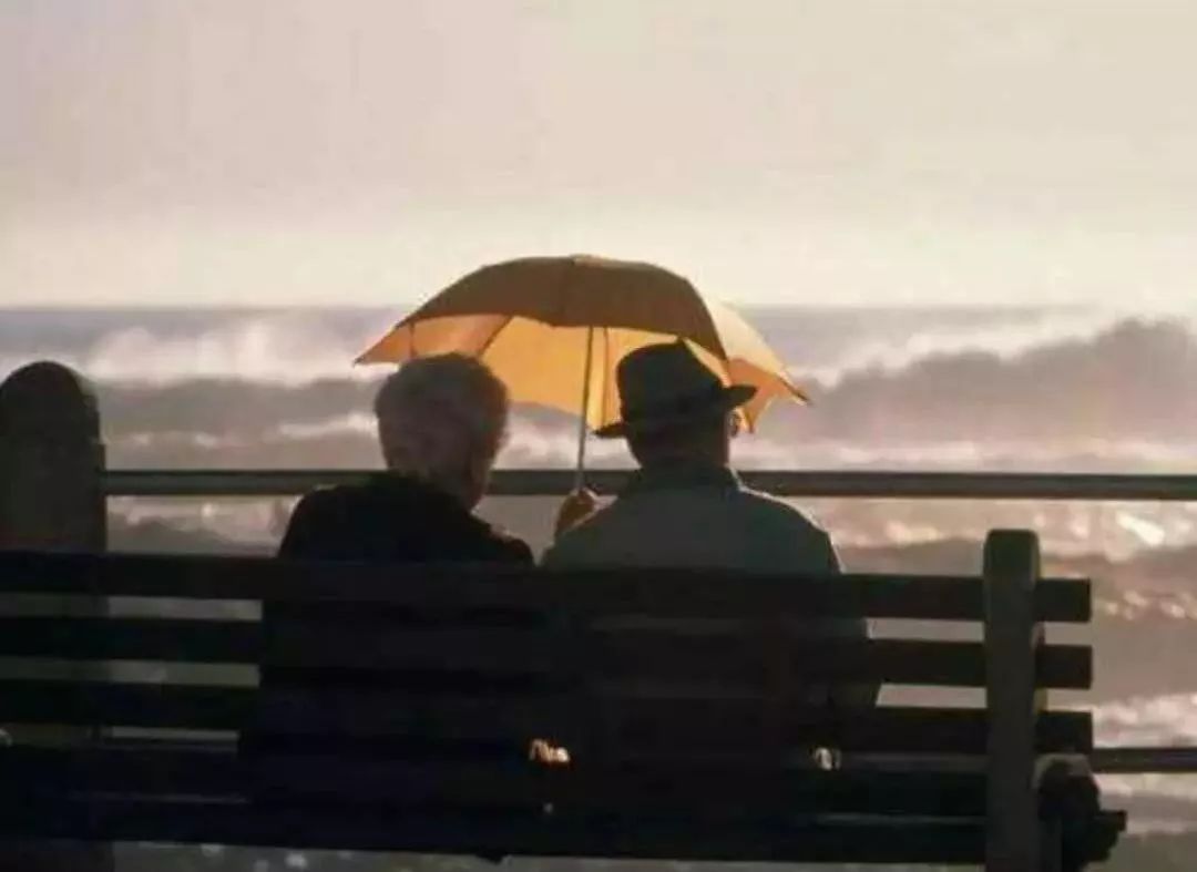 鞋子换鱼 丁以能 943