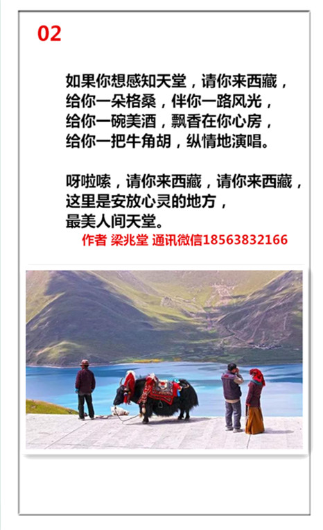 1741853124994348.jpg 未命名_副本2.jpg