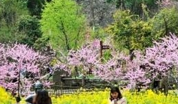 【邱奇作品专辑】《夏秋交替感怀》