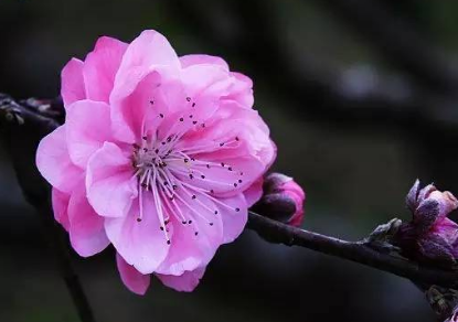 1744876449726435.png 8bd6eb209fc3cfe1832624093fed1fd.png