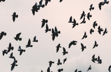 1745305203146190.png f7e7419eaa11d99f4a8be434c08f2f4.png