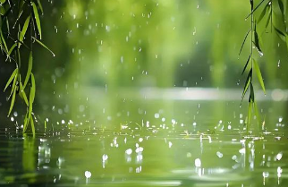 【热文头条】《春雨》作者/不忘初心