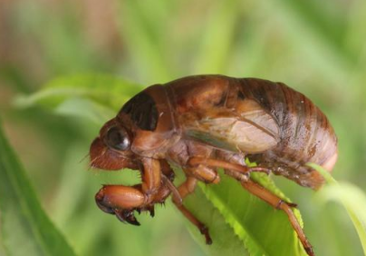 1749972246870644.png 9fa8371ed2b45bc3c0cd5ebe632be1d.png