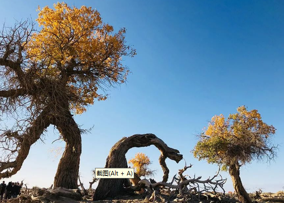 1749973637868729.png ad8ba7450c500db05d68e97f8c2a5e7.png