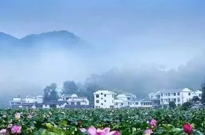 1753847300787135.png 5e180463eefc1c1c9536fb11f483bd0.png