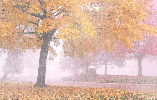 17beb2c66c5514cfc626954463ecfaed_ec60b9cb747148d3a15ef8673086fe4c.gif