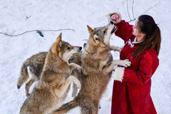 1757815432423067.png 2d127c6191f22ede35eef9f496cb080.png