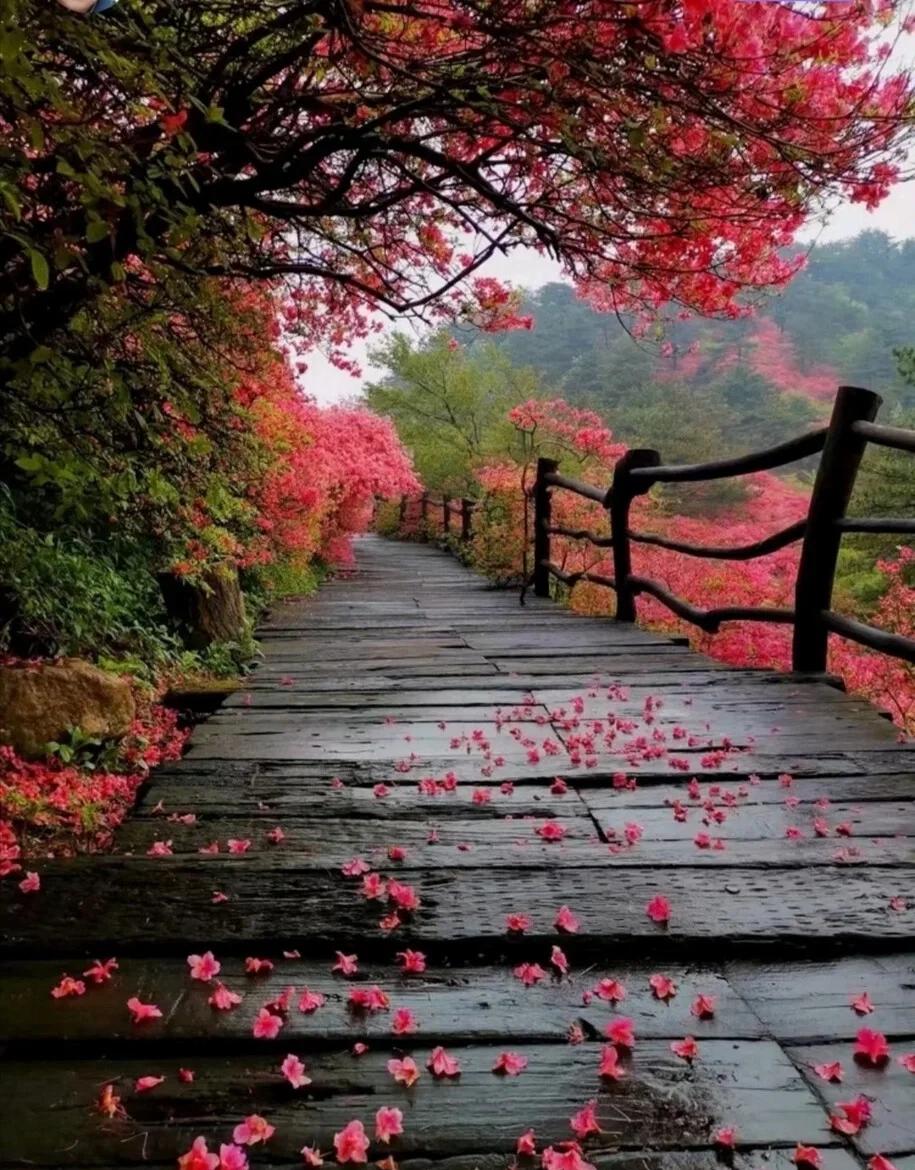 1758239093149946.jpg 34a21d985389035b47ed8b02111f0c1d_t04697c2afdd9e9b694.jpg