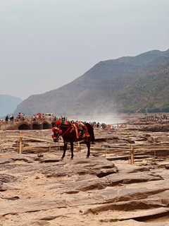 1758679358988537.png 459d1d32e6915f22a5ed49815a56472.png