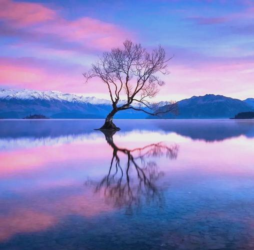 1758710715747722.png image.png