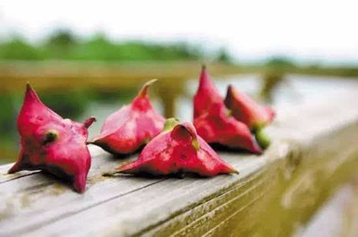 1759398216771661.jpg bcef75b5a2a04ad93a12e4309db426a4_t010c96ebd23f7501b0.jpg