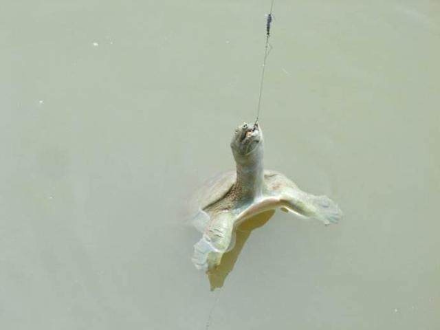 1759398411979935.jpeg 73621bb638bd00caab1aba0ebc71db3b_u=2912816062,710234443&fm=173&s=EDA2747E5D83637658CC14470300E0F0&w=640&h=480&img.JPEG