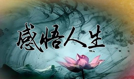 1759911368594783.png a63da0092e2be09125e2b5175409ae9.png