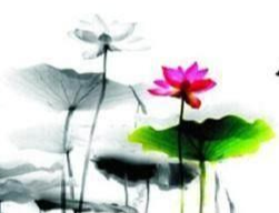 1759911489469786.png 3a2642fa85720aad1b8aaeb547014d8.png