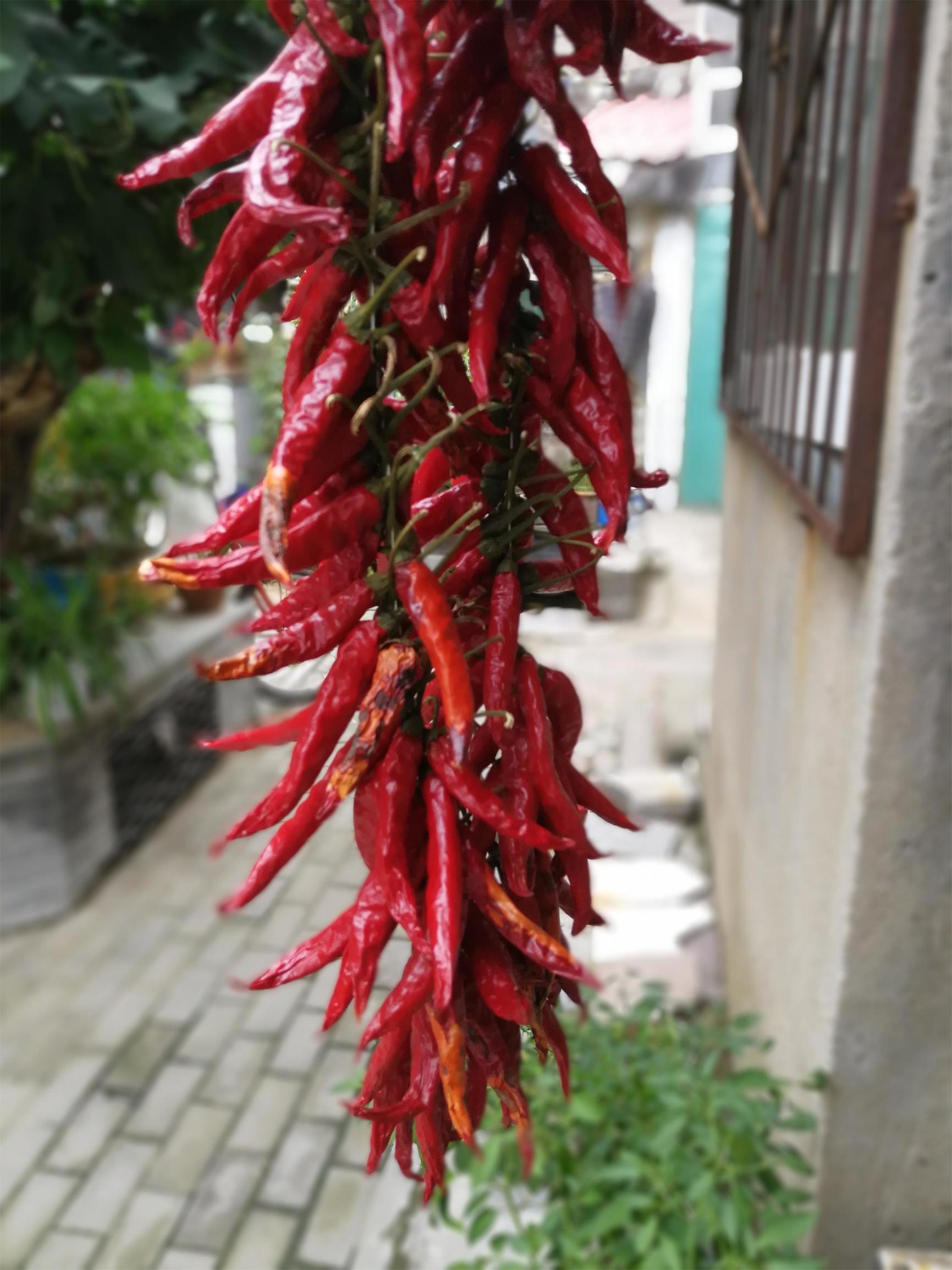 1760426058324216.jpeg 04fee2e0a9af5589c755436cc1fa282b_462703d788ae4fa9a8abb8bb0540b04d.jpeg