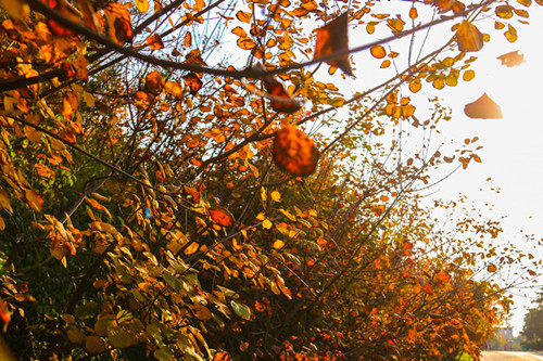 1760684108997816.jpg e7f441c4810bb438c93583436e6e339.jpg