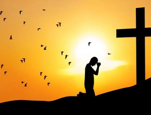 1760954146654786.jpg 349f25989420c40c2a76787832ed3a79_t011cf35121fd43658b.jpg