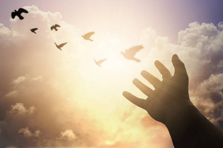 1760954193402346.png image.png