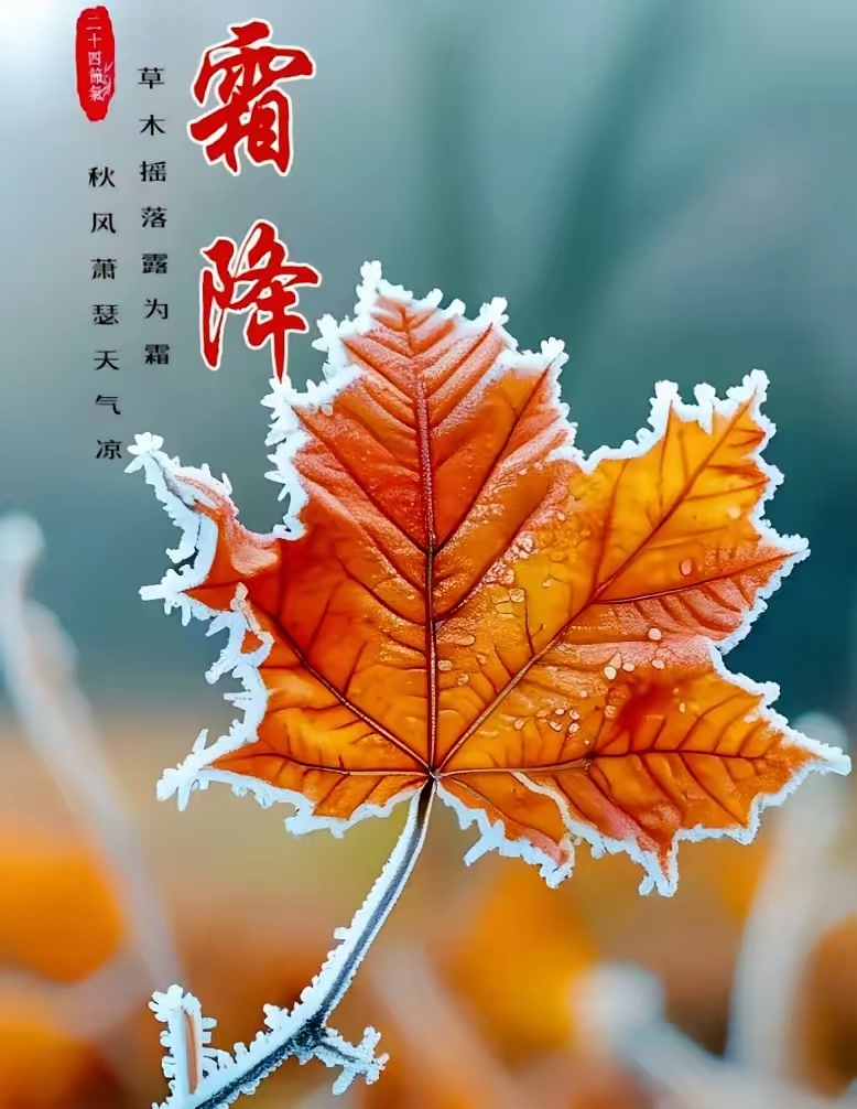 1761221877990803.jpg 8b5b6ef1bf830df8d27bc946574dfd06_t0412e25dff2cfb3683.jpg