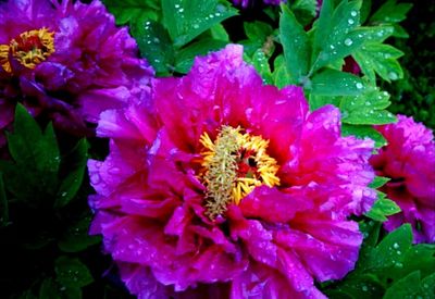 1762052348617472.jpg 368ef9bc1d564d5f0f9613bd9a3c6cea_t011f2ff631e2956fa9.jpg