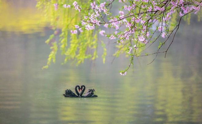 1762163987342819.jpg 9760f411c78cb4c81b283adbba56fee9__url=http%3A%2F%2Fdingyue.ws.126.net%2F2020%2F0313%2F37b2ee20j00q74xp8001ec000mh00drm.jpg&thumbnail=660x2147483647&quality=80&type=jpg.jpg