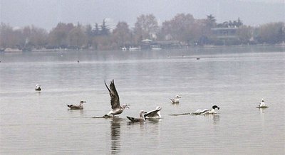 1768257765803343.jpg 064063b01e1a4455fef9320607d1f5ce_t01a9b7ce754a314664.jpg