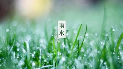 【范猛作品专辑】《雨水》