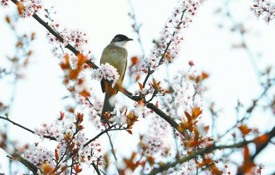 1771637832931196.jpg 16c40b9c366d1b90f0501256e23232eb_t01f4a8de0129199fa2.jpg