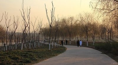 bfd37359f90173af2c008c0f24457970_t01cef0a9df5f6fd638.jpg