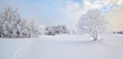 1771812981710682.jpg 1131d4657057be97fa4cad7de1e641d1_t019a1cdb21375d439c.jpg