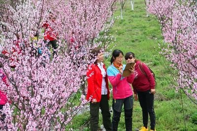 1774226512499148.jpg 44e5f5b596a9b0c0f2d3decedf69bb16_t01c6b2b27b306cee69.jpg