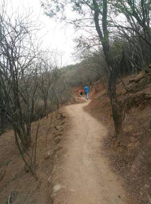 1775386636752051.jpg 750d51cc96db85156b92ebaecd914413_t013ee20f17db978a53.jpg