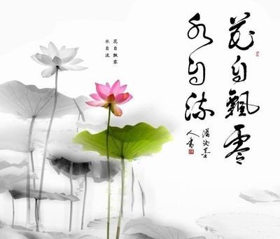 b456facc01d768561c50a1cfb3f76c2f_t017b2016b5826dbb5a.jpg